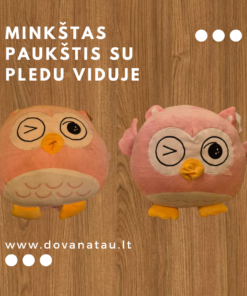 Minkštas žaislas su pledu viduje.