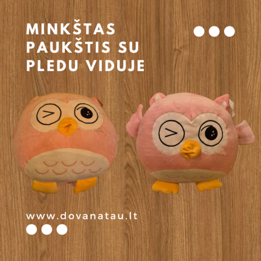 Minkštas žaislas su pledu viduje.