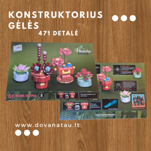 Konstruktorius Gėlės