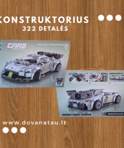 Cars konstruktorius