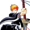 Dovanatau.lt manga, komiksas - bleach, vol. 1