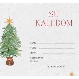 Kalėdinio tipo dovanų kuponas