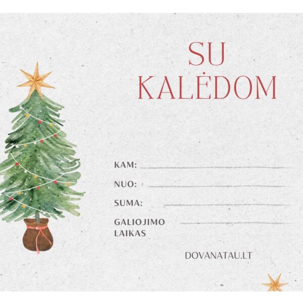 Kalėdinio tipo dovanų kuponas