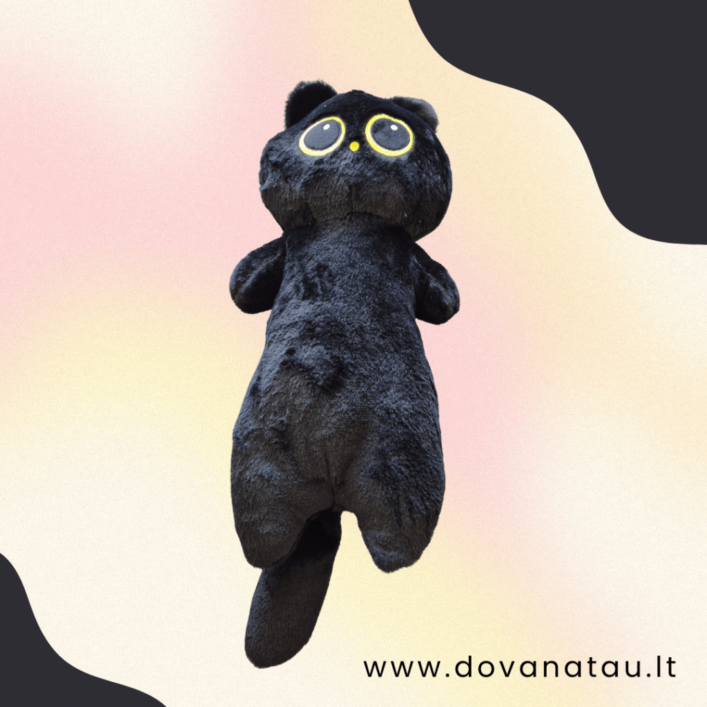 Juoda pliušinė katė